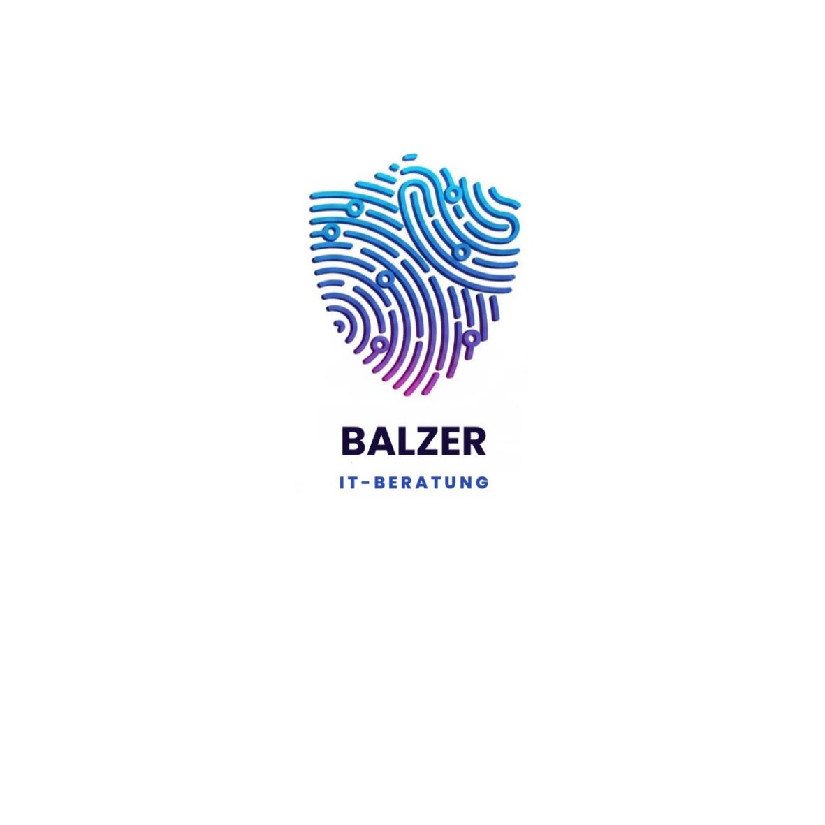 Logo Balzer IT-Beratung